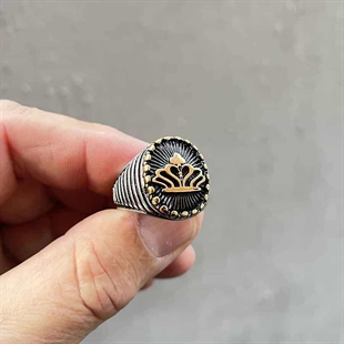 Herrering i stål